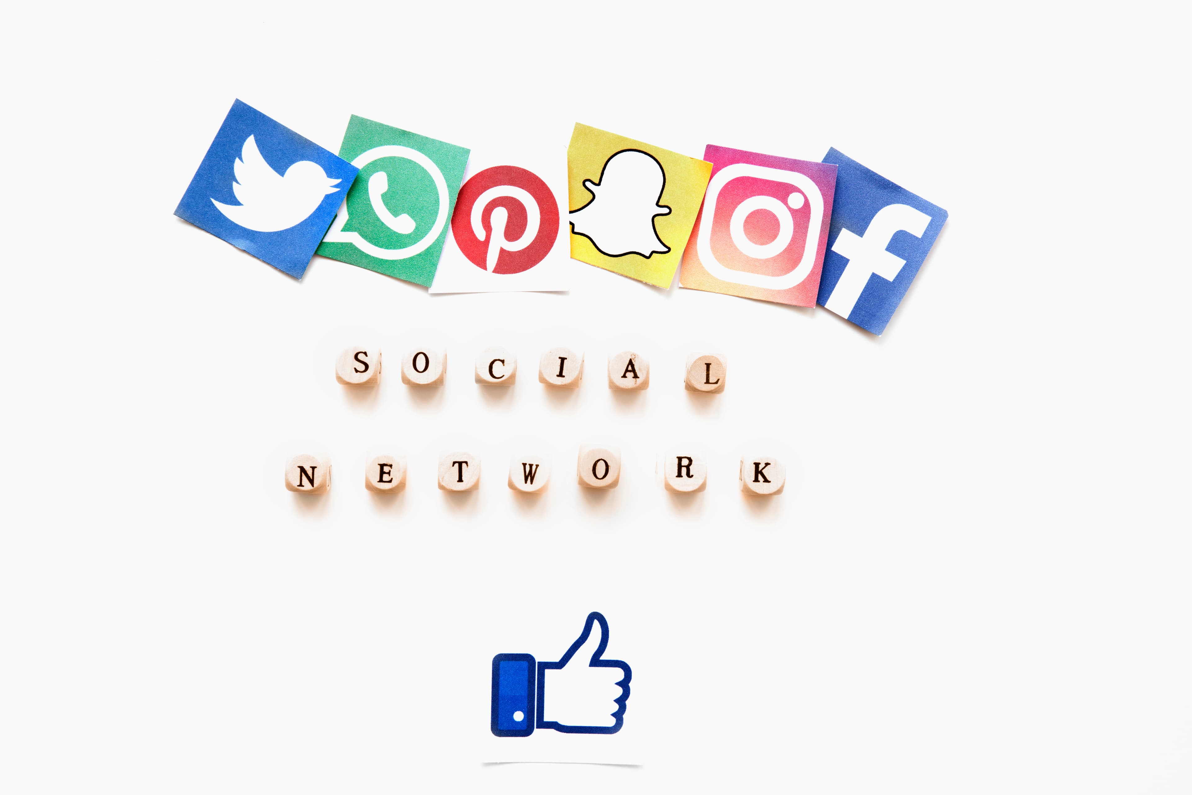 Meta Ads vs Organic Social Media: What's Right for Your Business?